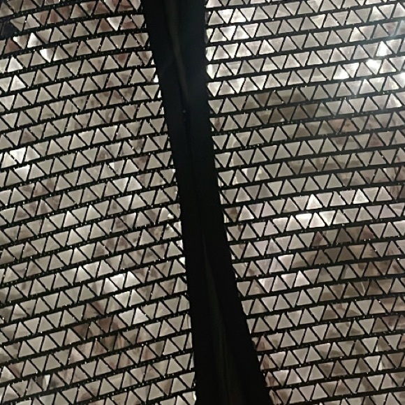 COWBOY CARTER Zara Sequin Shorts Suit Set - Picture 6 of 9